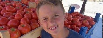 Değirmenköy’de Domatesler yarıştı.