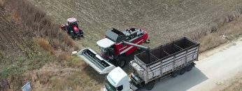 SİLİVRİDE 10.000 AİLEYE ÜCRETSİZ AYÇİÇEK YAĞI