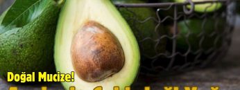 Avokado Çekirdeği Yağı Doğal Mucize!
